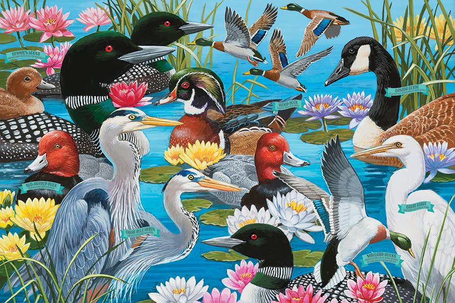 Water Birds 36pc floor puzzle