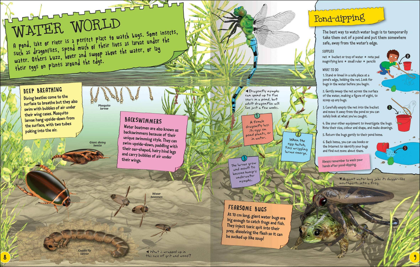 Project Bugs - Fascinating Kids Book on Insects