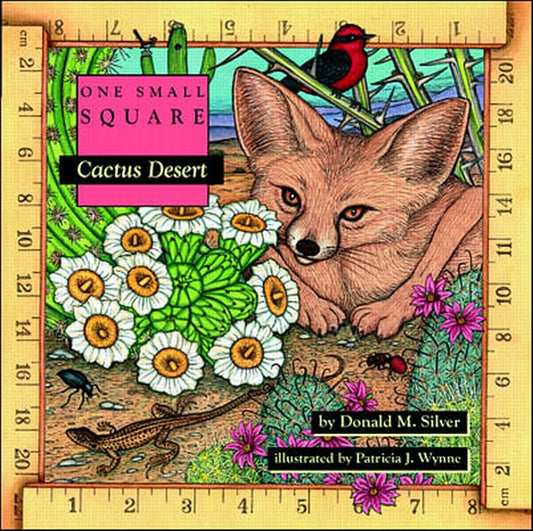 Cactus Desert (One Small Square) cover image