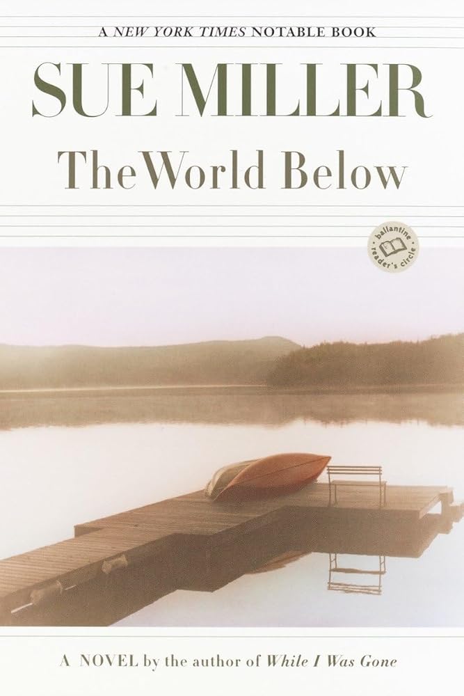 The World Below: A Novel (Ballantine Reader's Circle) cover image
