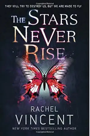 The Stars Never Rise (Stars Never Rise Duology, 1) cover image