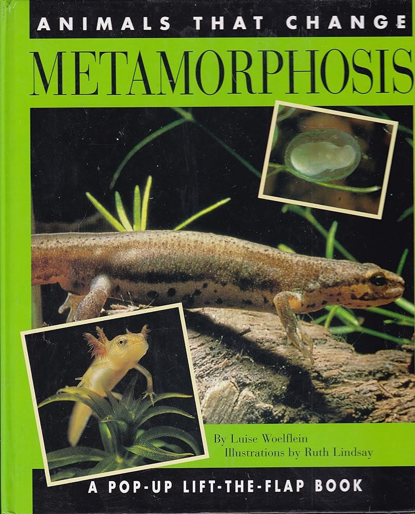 Metamorphosis: 9Animals that Change (Lift-the-Flap) cover image
