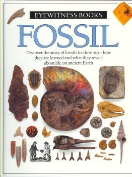 Fossil cover image