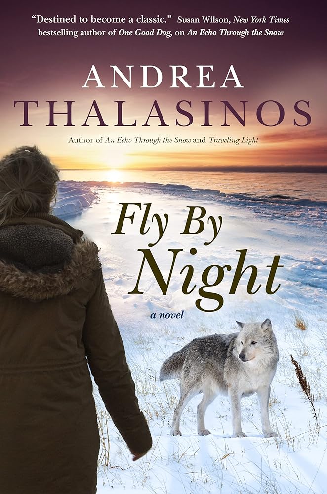 Fly By Night: A Novel cover image