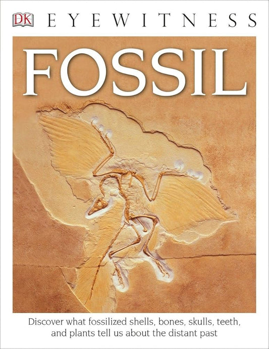 Eyewitness Fossil (DK Eyewitness) cover image