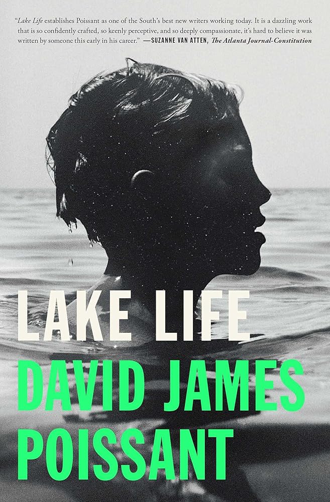Lake Life: A Novel cover image