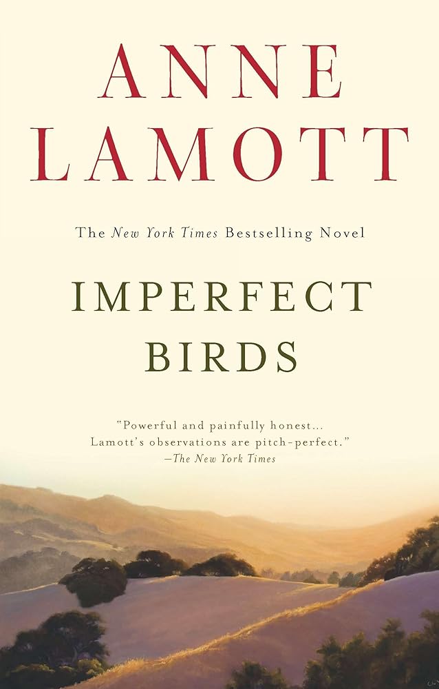 Imperfect Birds: A Novel cover image