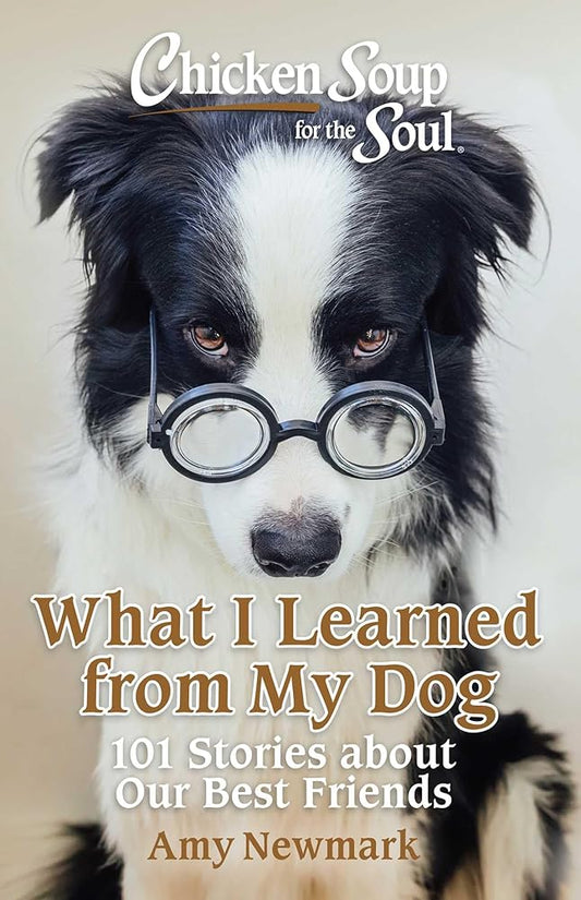 Chicken Soup for the Soul: What I Learned from My Dog: 101 Stories about Our Best Friends cover image