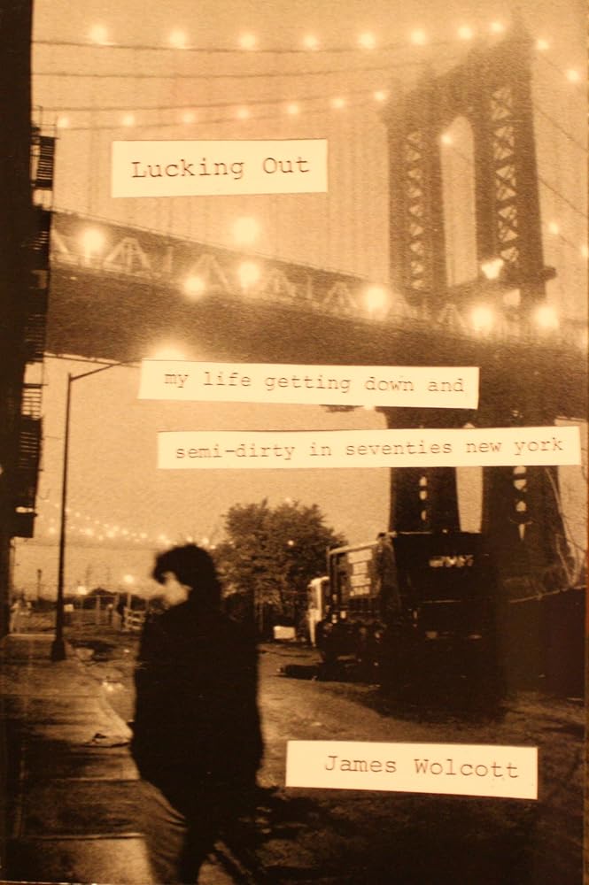Lucking Out: My Life Getting Down and Semi-dirty in Seventies New York cover image