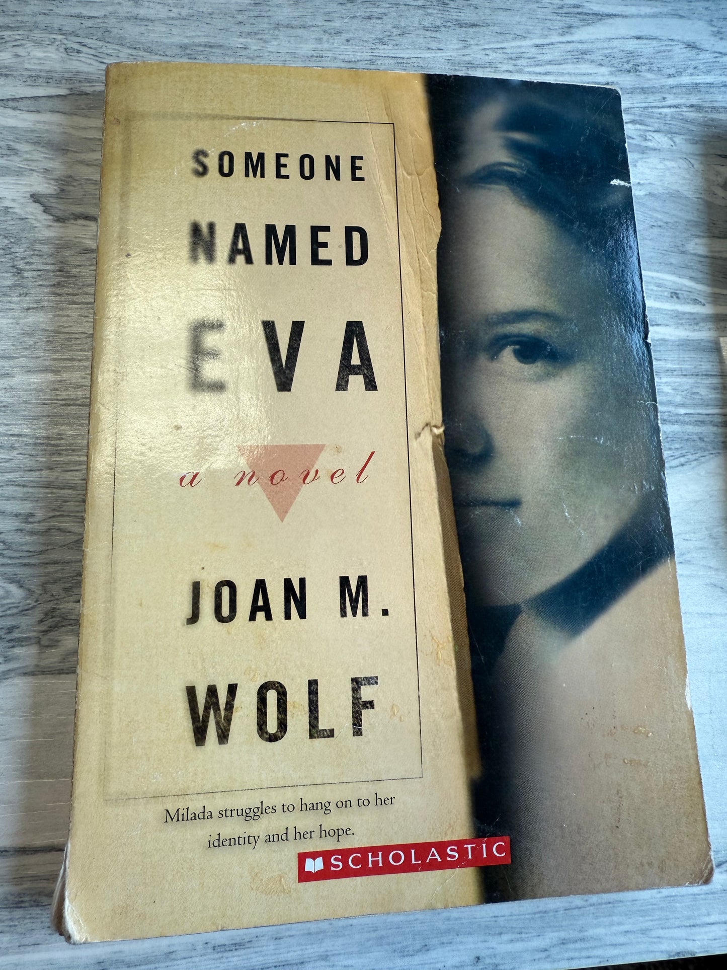 Someone Named Eva