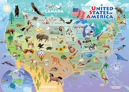 USA Map 35pc puzzle