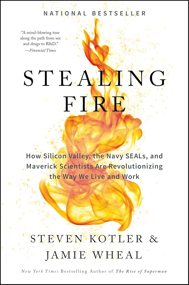 Stealing Fire: How Silicon Valley, the Navy SEALs, and Maverick Scientists Are Revolutionizing the Way We Live and Work cover image