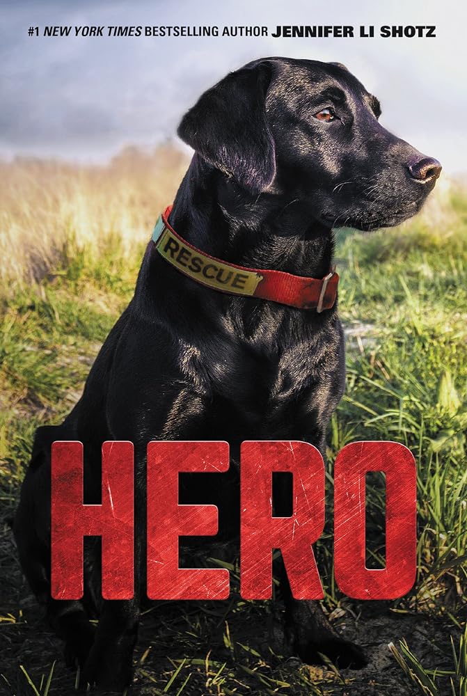 Hero: A Rescue Dog Adventure About Danger and Unbreakable Bonds for Kids (Ages 8-12) cover image