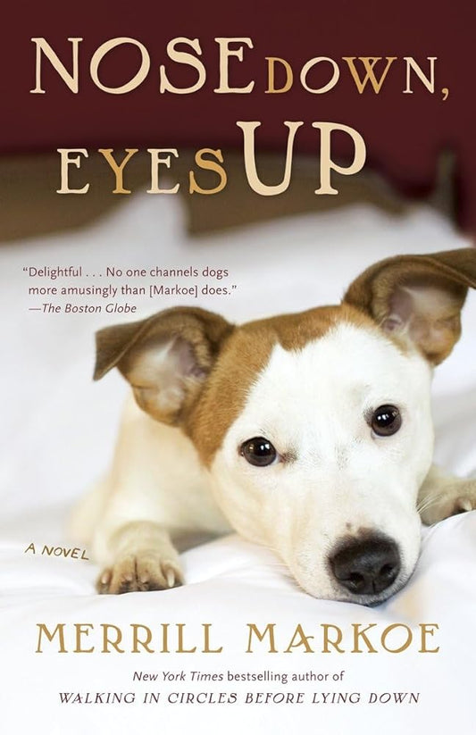 Nose Down, Eyes Up: A Novel cover image