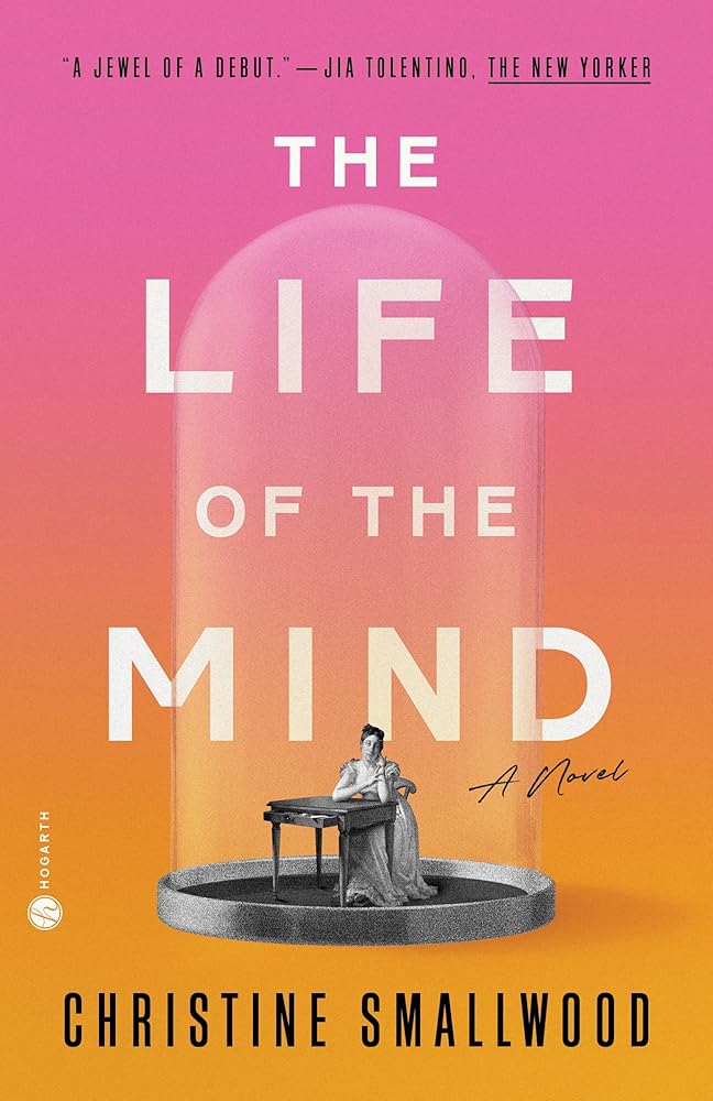 The Life of the Mind: A Novel cover image