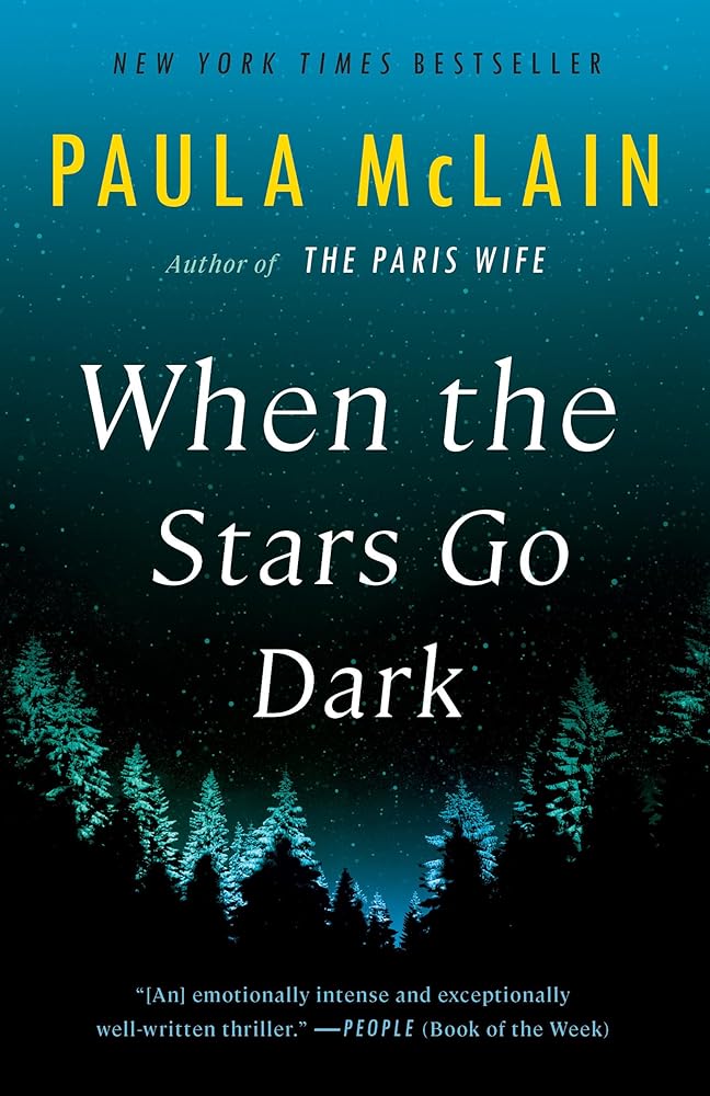 When the Stars Go Dark: A Novel cover image