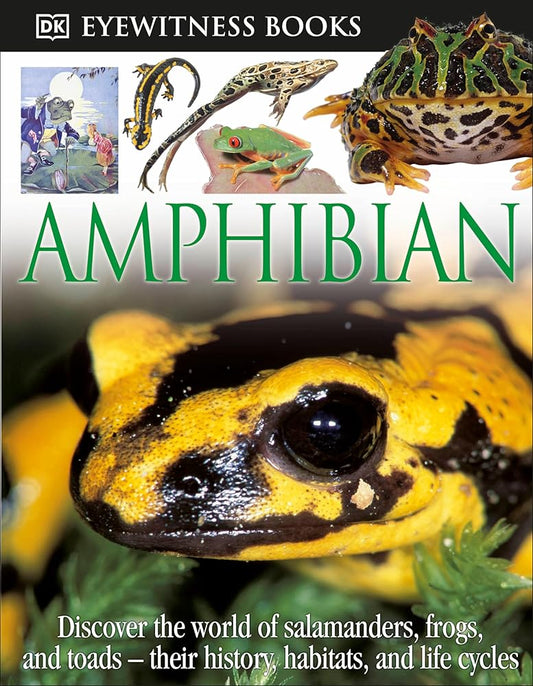 Amphibian cover image