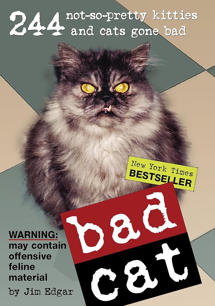 Bad Cat: 244 Not-So-Pretty Kitties And Cats Gone Bad cover image