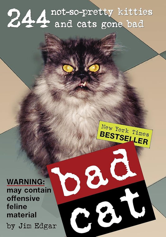 Bad Cat: 244 Not-So-Pretty Kitties And Cats Gone Bad cover image