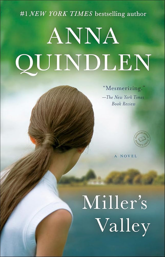 Miller's Valley: A Novel cover image