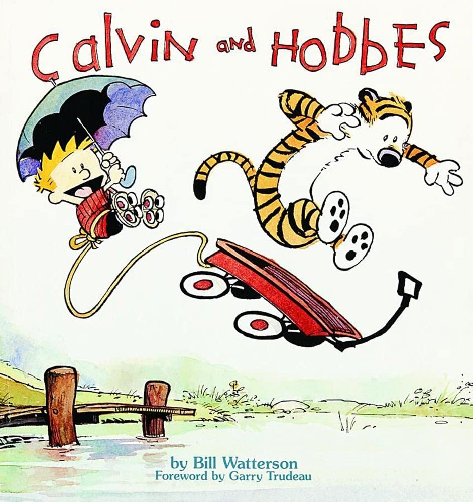 CALVIN AND HOBBES: 1 cover image