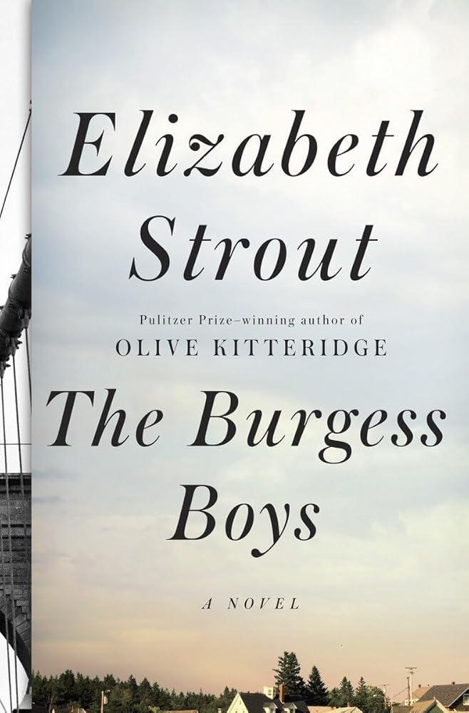 The Burgess Boys: A Novel cover image