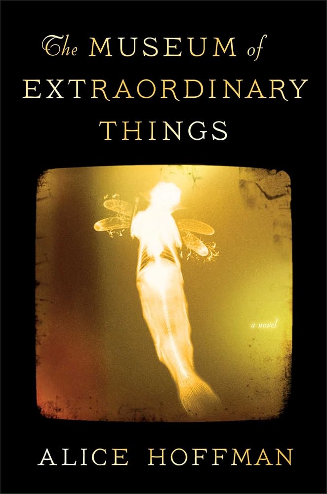 The Museum of Extraordinary Things: A Novel cover image