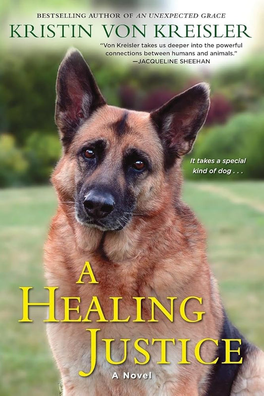A Healing Justice cover image