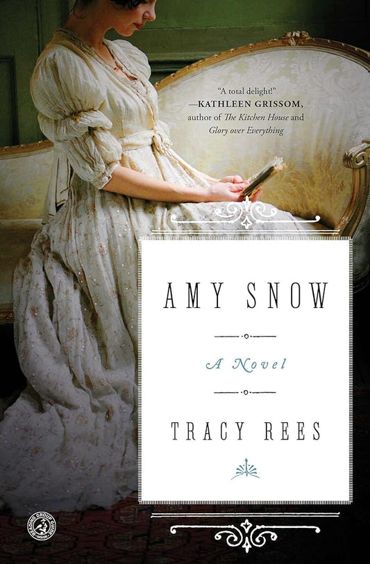 Amy Snow: A Novel cover image