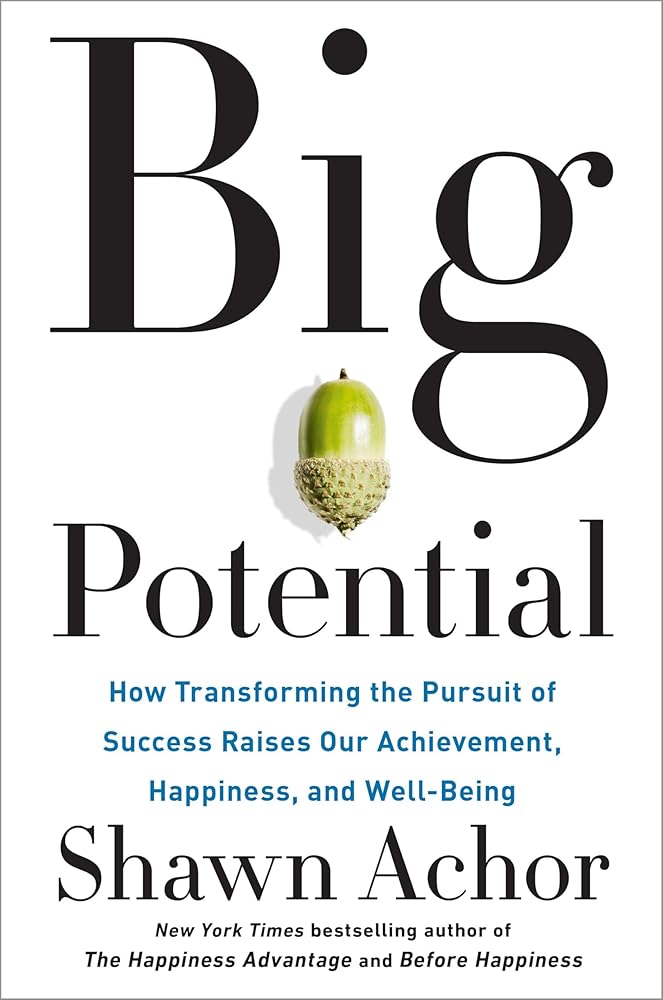 Big Potential: How Transforming the Pursuit of Success Raises Our Achievement, Happiness, and Well-Being cover image