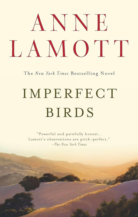 Imperfect Birds: A Novel cover image