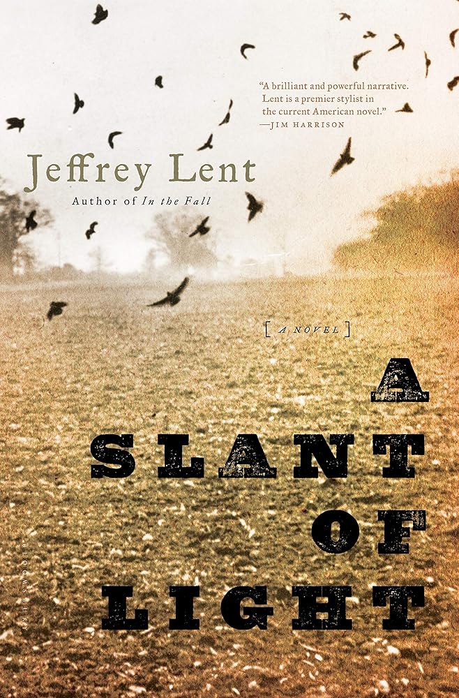 A Slant of Light: A Novel cover image