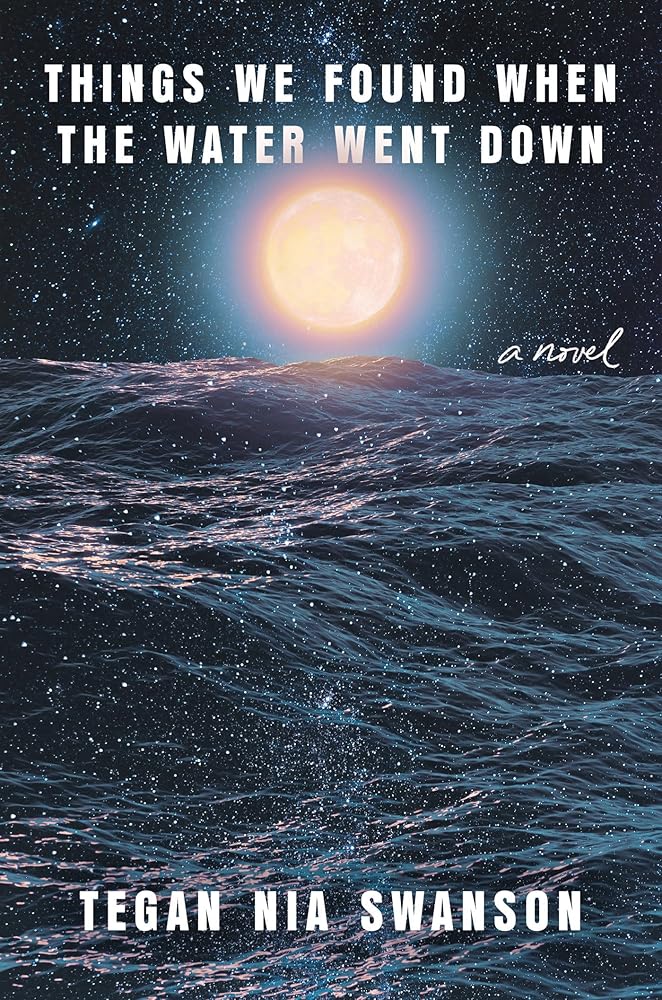 Things We Found When the Water Went Down: A Novel cover image