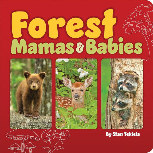 Forest Mamas & Babies (Mamas and Babies) cover image