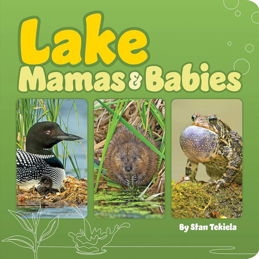 Lake Mamas & Babies (Mamas and Babies) cover image