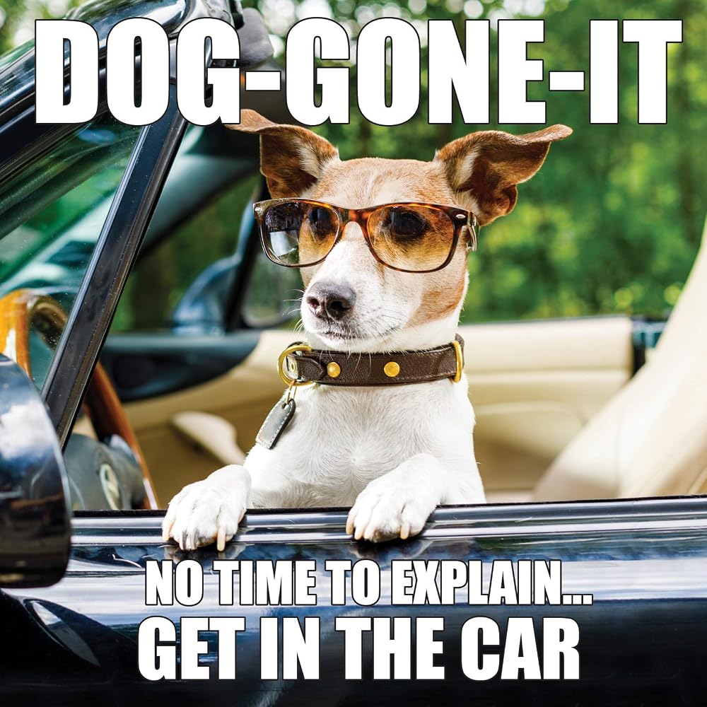 Dog-Gone-It cover image