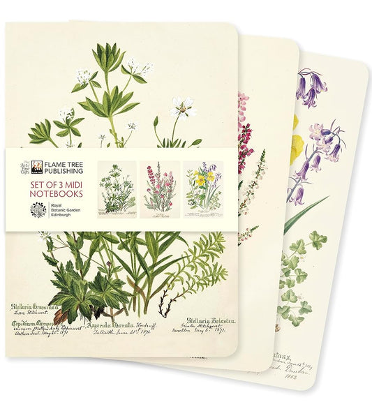 Royal Botanic Garden Edinburgh Set of 3 Midi Notebooks (Midi Notebook Collections) cover image