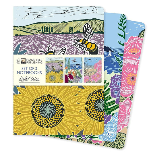 Kate Heiss Set of 3 Standard Notebooks (Standard Notebook Collection) cover image