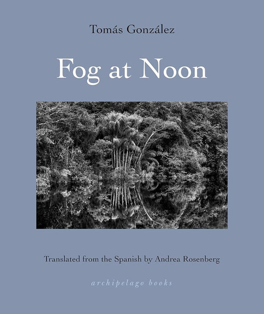 Fog at Noon cover image