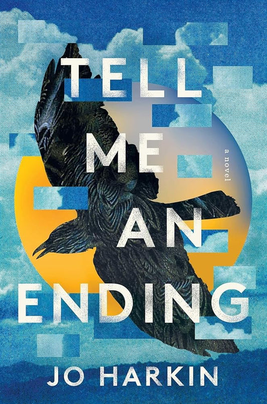 Tell Me an Ending: A Novel cover image