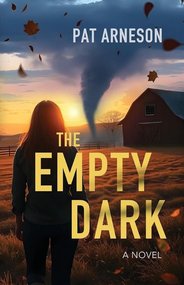 The Empty Dark (Maguire Mystery) cover image